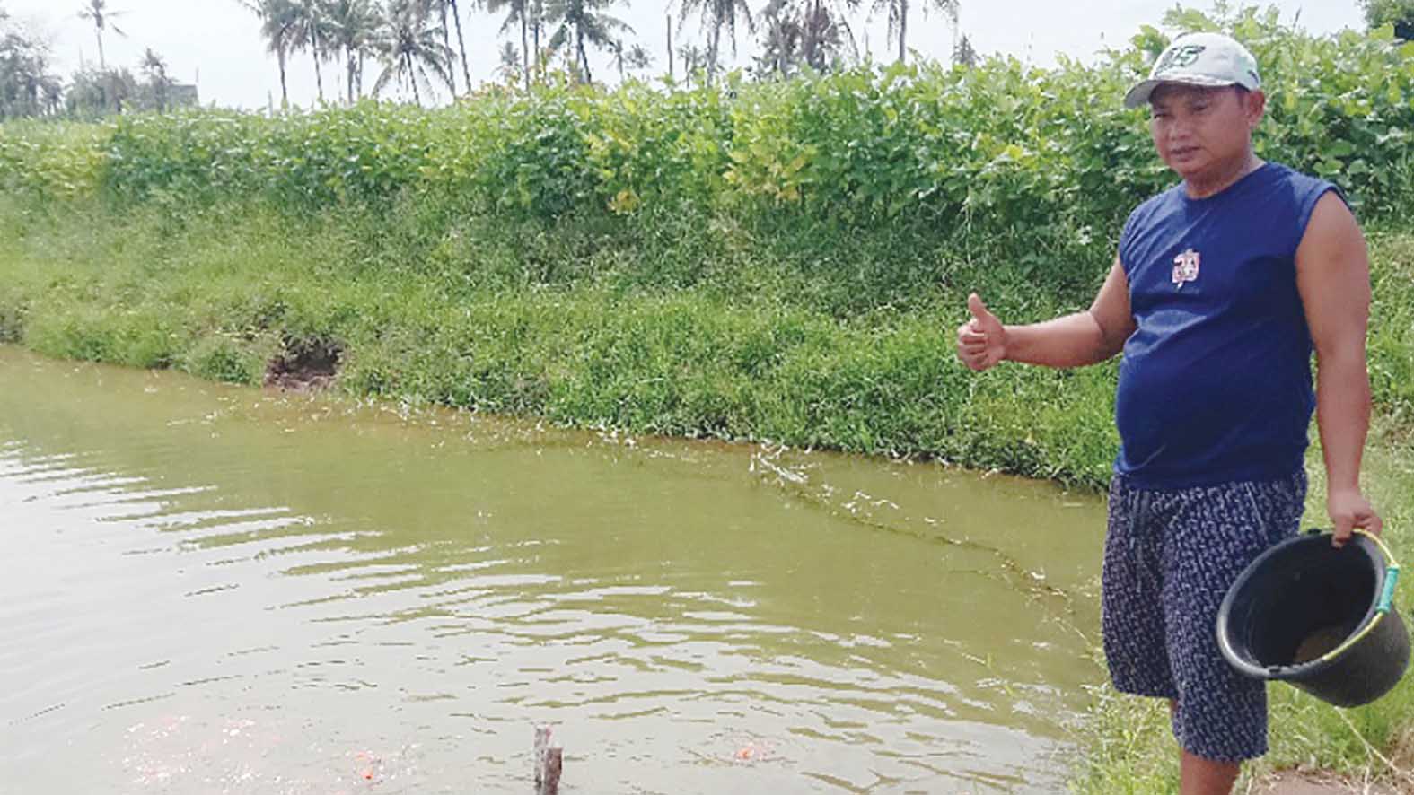 Budidaya Ikan Koi di Musi Rawas Jadi Peluang Usaha Menjanjikan, Warga Tugumulyo Buktikan Kesuksesannya