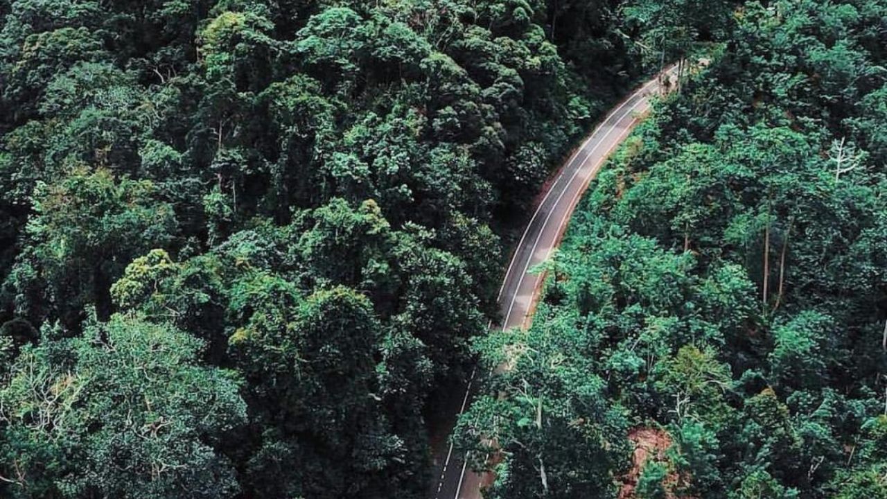 Misteri Makhluk Gaib: Jejak Misteri di Hutan Bukit Barisan