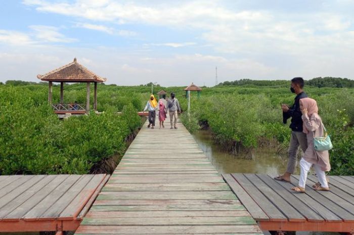 Pagaralam Bidik Sektor Wisata Demi Tingkatkan PAD