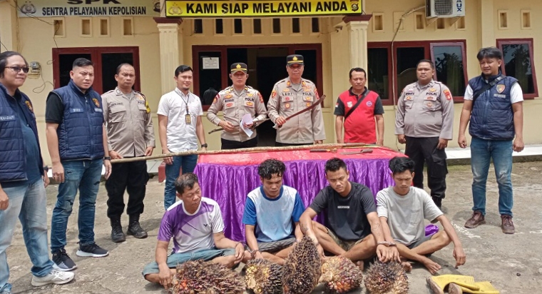 Empat Pencuri Sawit Dibekuk Polisi, Satu Pelaku Berhasil Kabur