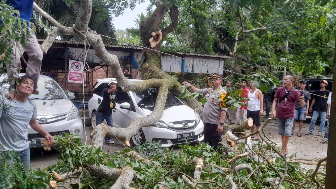 Pohon Tumbang Timpa 2 Unit Mobil di Parkiran, Pengelolah Parkir Ketempuhan