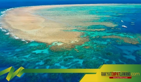 Great Barrier Reef: Surga Bawah Laut yang Wajib Lo Jelajahi!