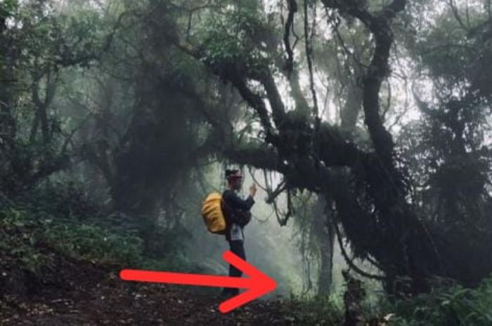 Di Balik Kabut Jawa Barat: Dika, Pendaki yang Menyingkap Rahasia Dunia Bunian