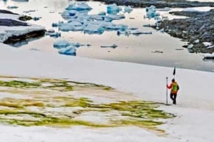 Misteri Benua Es Antartika: Eksplorasi dan Penemuan Terbaru