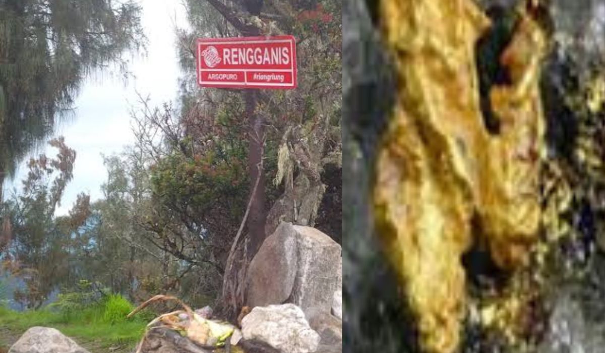 Dibalik Keindahan dan Kisah Angker Puncak Gunung Argopuro Benarkah Ada Harta Karun? 