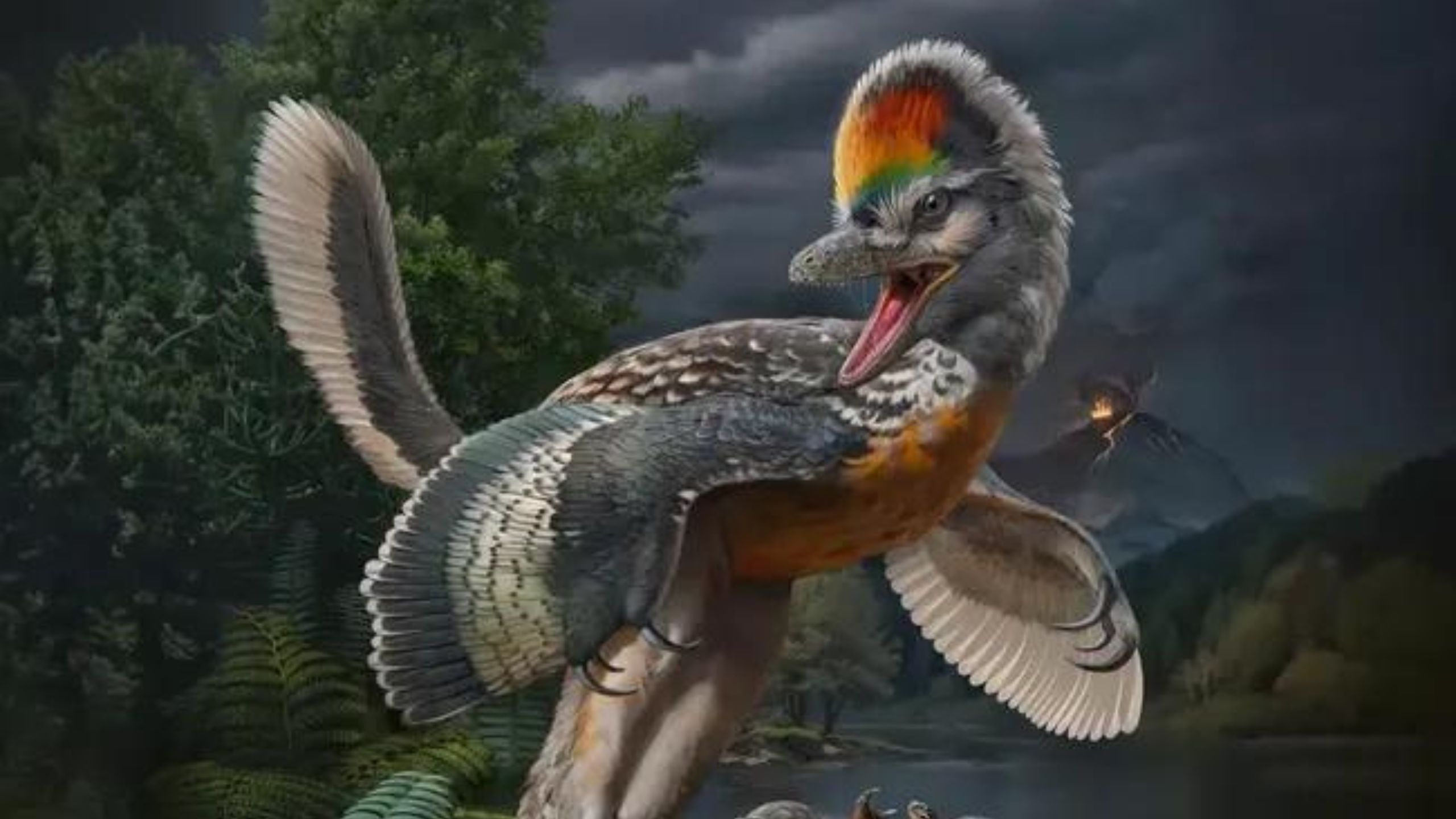 Fujianvenator Prodigiosus: Burung Dinosaurus Mirip Burung dengan Kaki Panjang