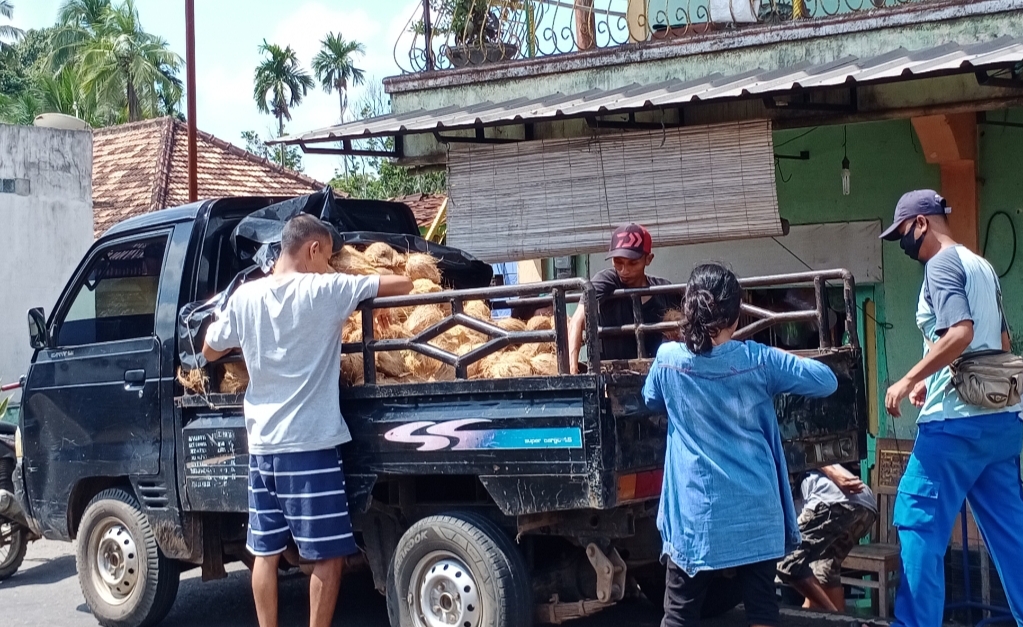 Harga Kelapa di Sanga Desa Melonjak Tajam, Warga dan Pedagang Kecil Mengeluh