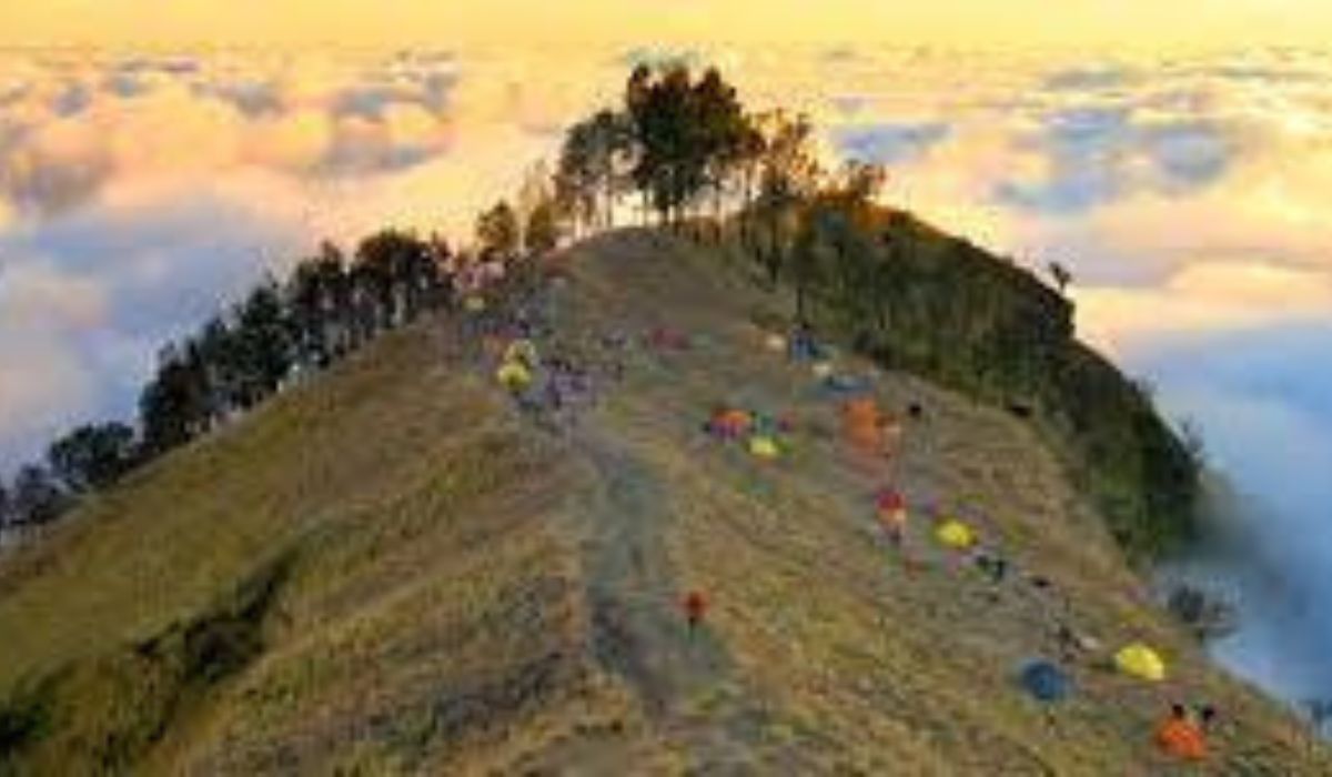 Begini Cerita Misteri Gunung Rinjani Terdapat Bukit Penyesalan,Legenda dan Keberanian Pendaki 