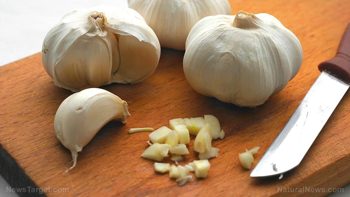 Rahasia Ajaib Bawang Putih, Obat Alami dari Dapur yang Jarang Diketahui!