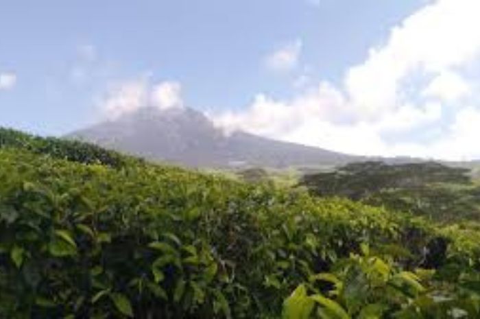 Di luar Nalar! Benarkah di Gunung Dempo Pagar Alam Sering Ada Penampakan Hantu Noni Belanda?