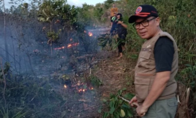 Kebakaran Hebat Landa Kebun Sawit di Empat Lawang, 20 Hektare Hangus Terbakar