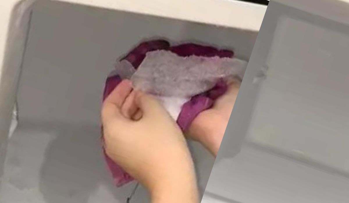 Begini Trik Mudah Membersihkan Bunga Es Freezer dengan Satu Bumbu Dapur