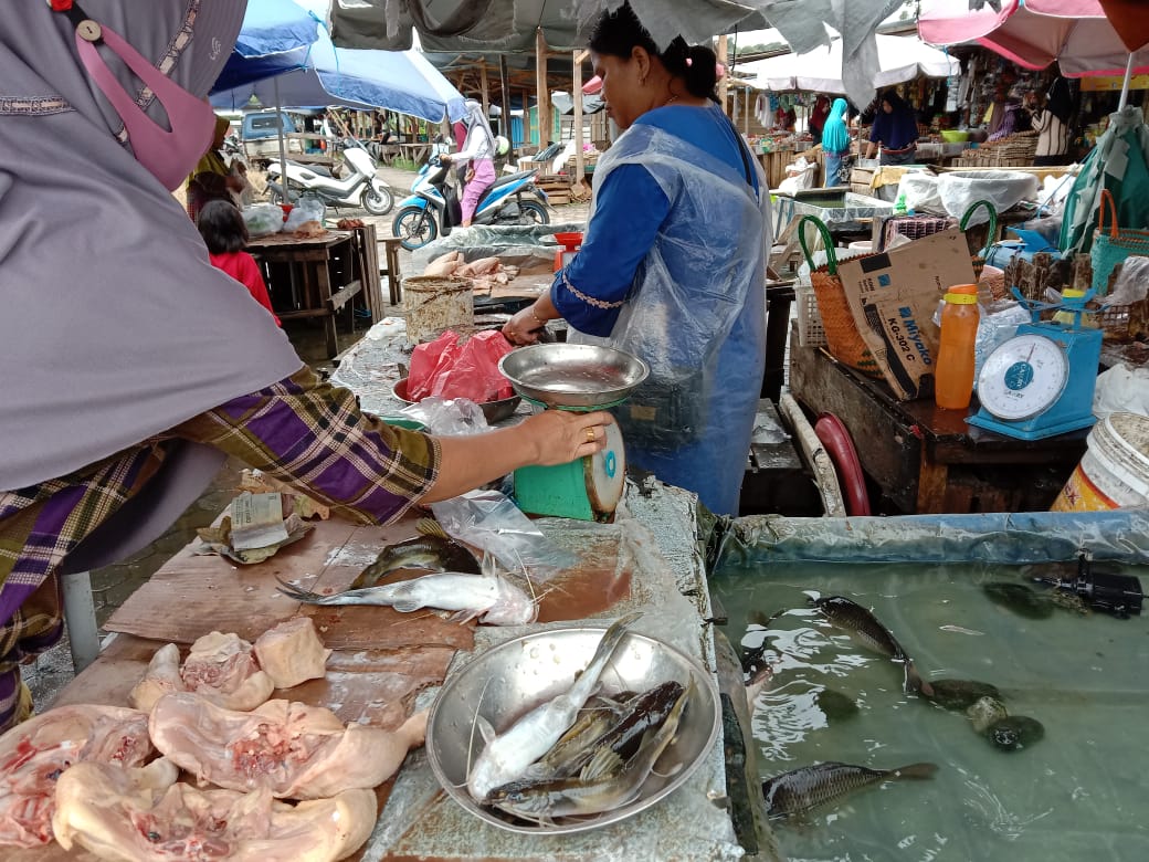 Ikan Segar di Pasar Pulau Emas Makin Mahal