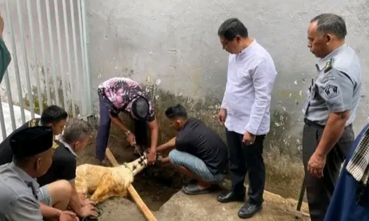 Lapas Kelas IIB Empat Lawang Laksanakan Penyembelihan Hewan Kurban Idul Adha 1446 H