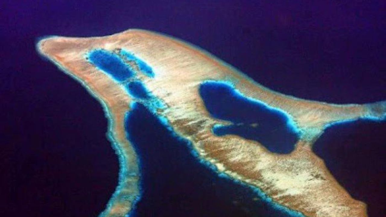 Keunikan Pulau Lumba-lumba: Pesona Bentuk yang Mirip Mamalia Laut Cerdas