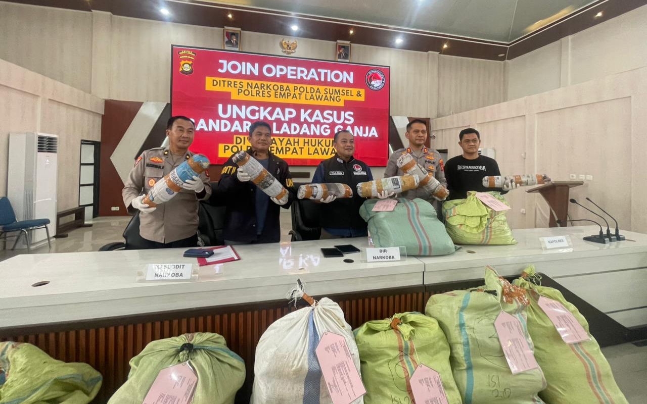 Dirresnarkoba Polda Sumsel dan Polres Empat Lawang Bongkar Bandar dan Ladang Ganja 3 Hektar