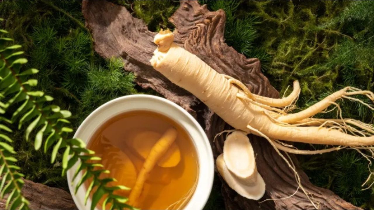 Ginseng Korea: Penyegar Kognitif untuk Meningkatkan Fungsi Otak