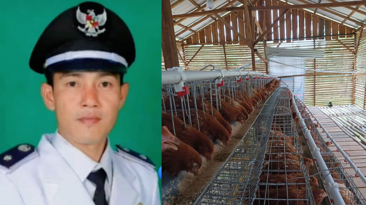 Desa Aur Gading, Ketahanan Pangan, Desa Kembangkan Ayam Petelur, Dari DD Angaran, 2025 di Kolola Bumdes