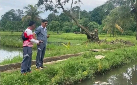 Kalapas Kelas IIB Empat Lawang Kontrol Lahan SAE untuk Dukung Kemandirian Warga Binaan