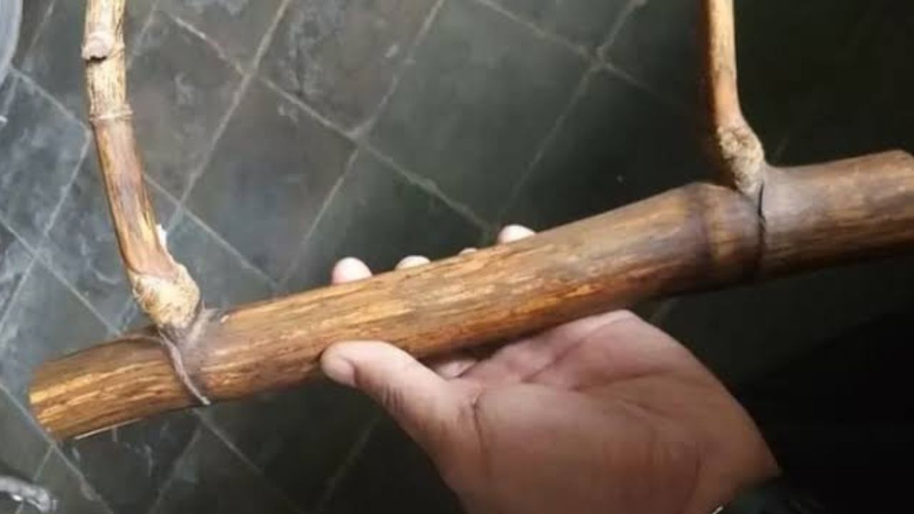 Misteri di Balik Bambu Petuk: Pusaka Magis Bisa Bikin Pemiliknya Kaya 7 Turunan