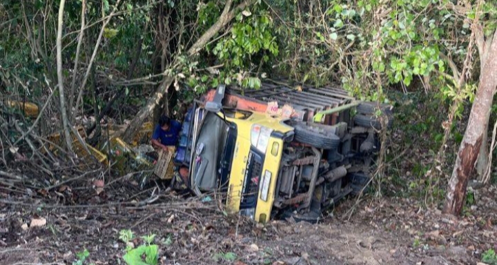 Truk Bermuatan 2.000 Ayam Terjun ke Jurang di Empat Lawang, Sopir: Mundur Tak Terkendali Karena Masuk Lubang