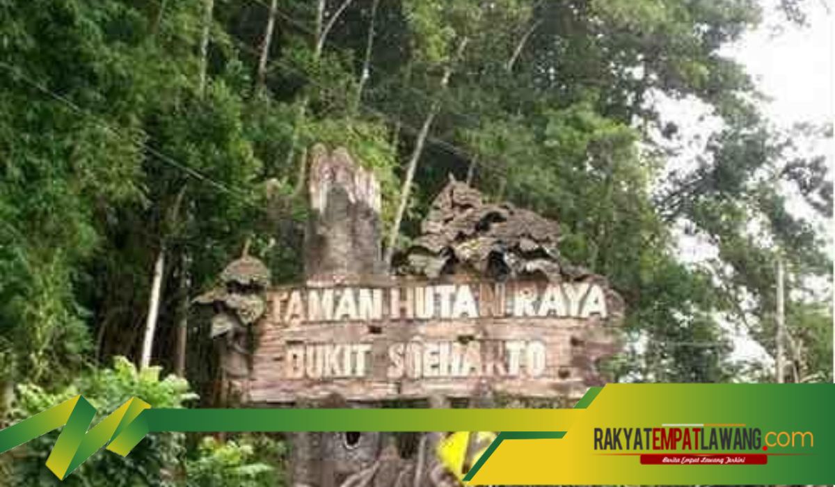 Eksplorasi Misteri: Deretan Cerita Horor dari Bukit Soeharto, Kalimantan Timur