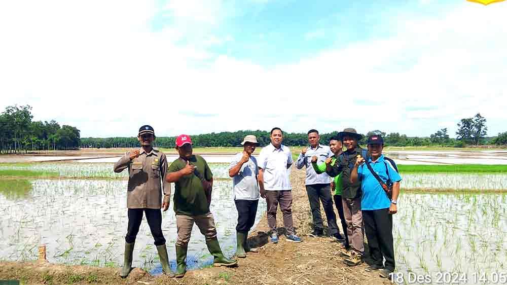 Lahan Subur, Panen Melimpah! Program Optimalisasi Lahan di Lubuk Seberuk Capai 70 Persen