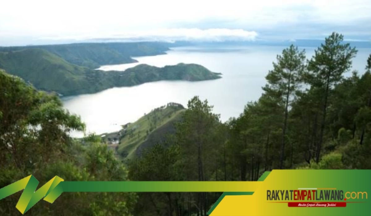 Hutan di Sekitar Danau Toba: Keindahan Alam dan Cerita Mistis