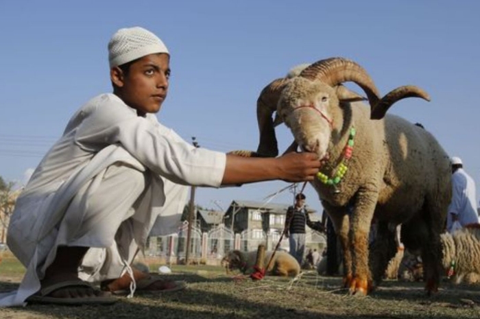 Ini Sejarah Qurban yang Bikin Haru, Hukum dan Keutamaan Berqurban