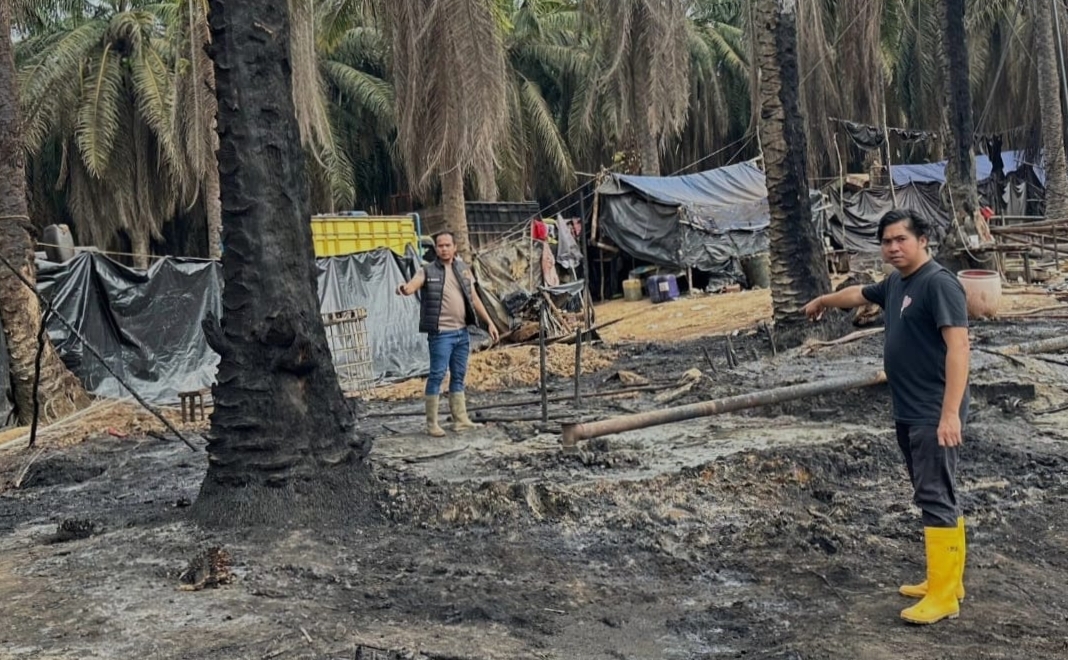 Kebakaran Sumur Minyak Ilegal di Muba, Polisi Dalami Penyebab dan Kejar Pelaku