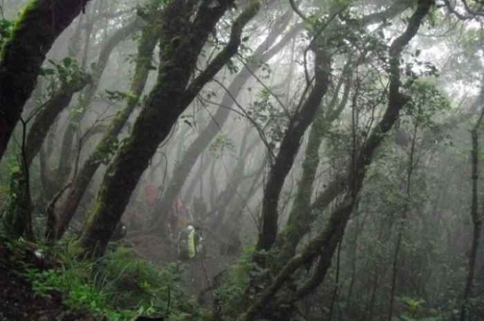 Seram! Kisah Mistis Pendaki Gunung Merbabu, Yogyakarta: Diterpa Kabut Tebal dan Suara-Suara Aneh