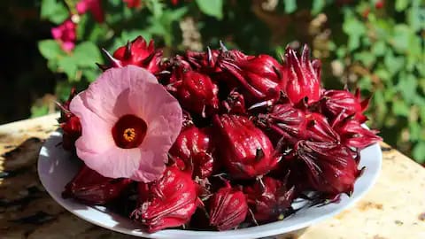 Rahasia Kecantikan Alami - Roselle, Si Superplant Merah dari Afrika yang Wajib Dicoba!