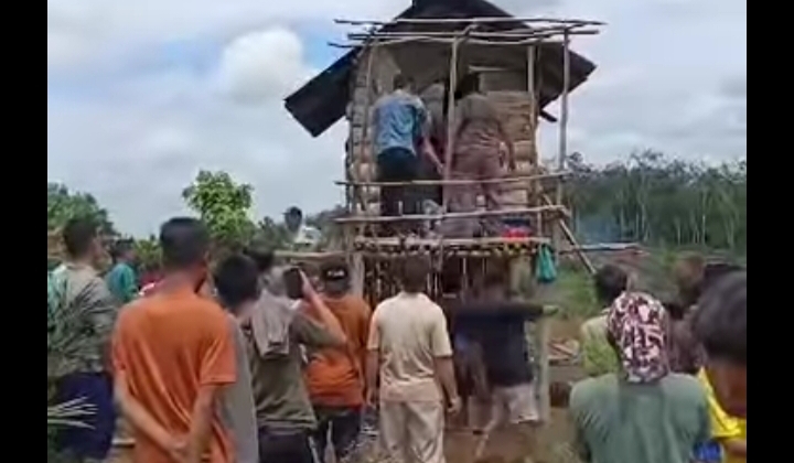 Heboh Di Media Sosial Anak 4 Tahun Jadi Korban Penyanderaan korban Berhasil Selamatkan