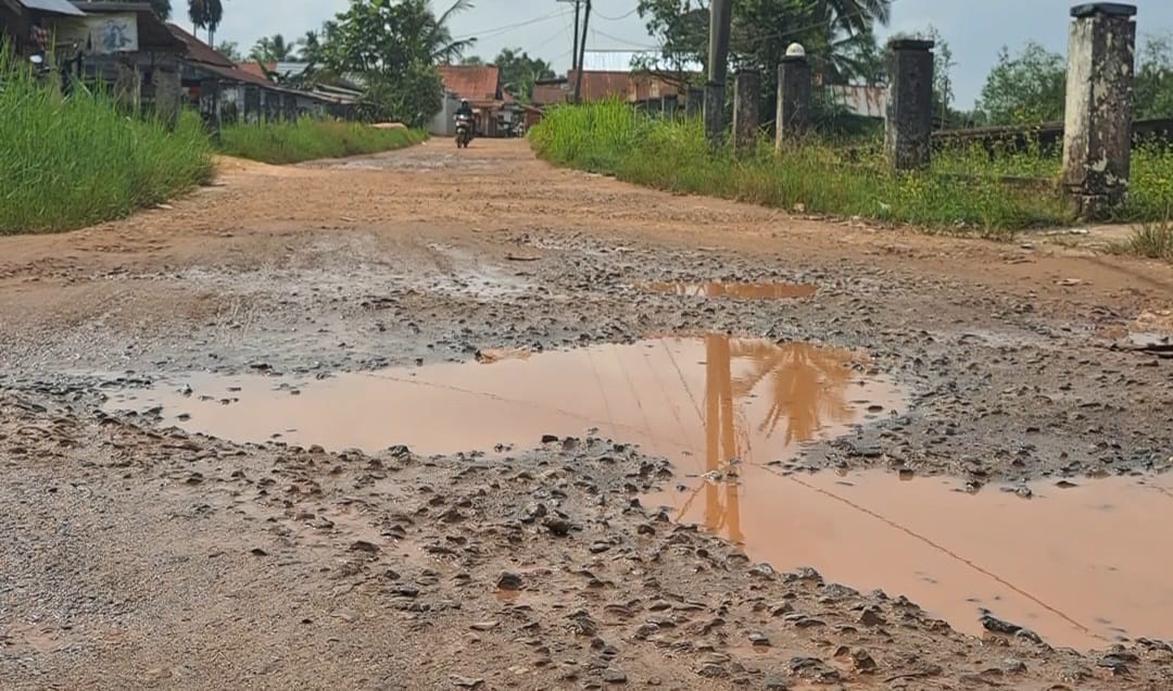 Warga Teluk Kemang Keluhkan Jalan Rusak, Harap Pemerintah Segera Bertindak