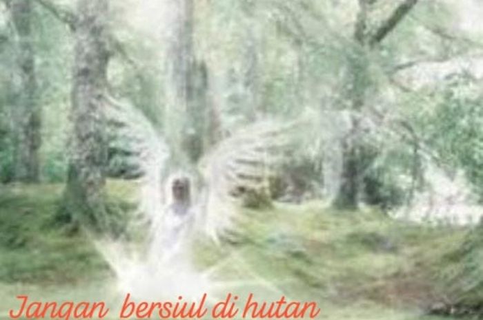 Mitos Misteri Larangan Bersiul Didalam Hutan