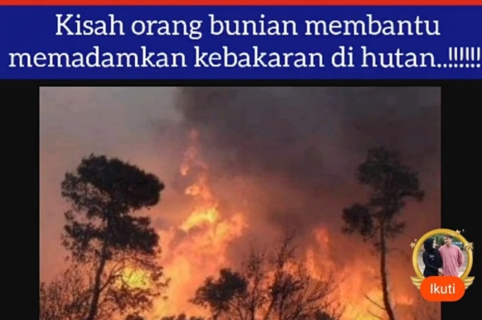 Kisah Menarik Orang Bunian: Membantu Memadamkan Kebakaran di Hutan Riau