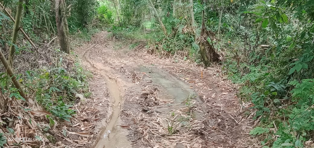 Angkut Hasil Pertanian Masih Sulit?!