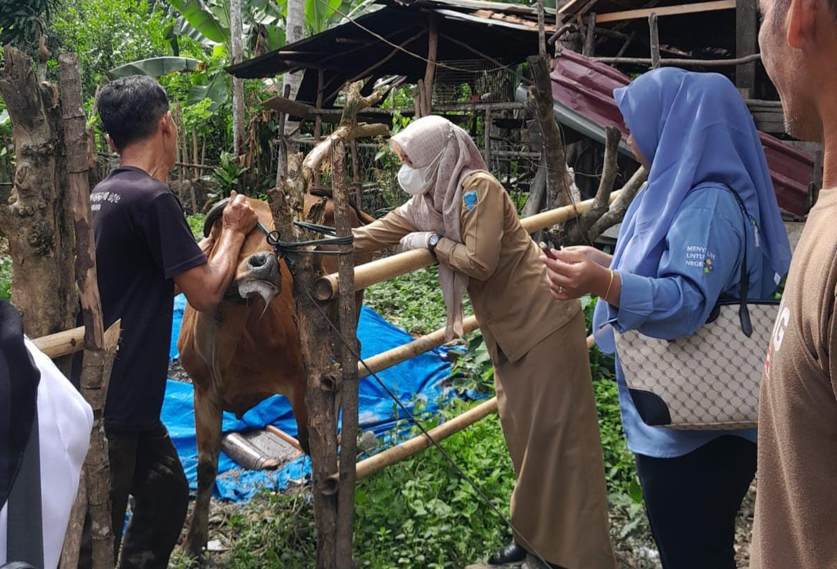 Pemkab Lahat Perketat Pengawasan Lalu Lintas Ternak Menjelang Ramadhan dan Idul Fitri