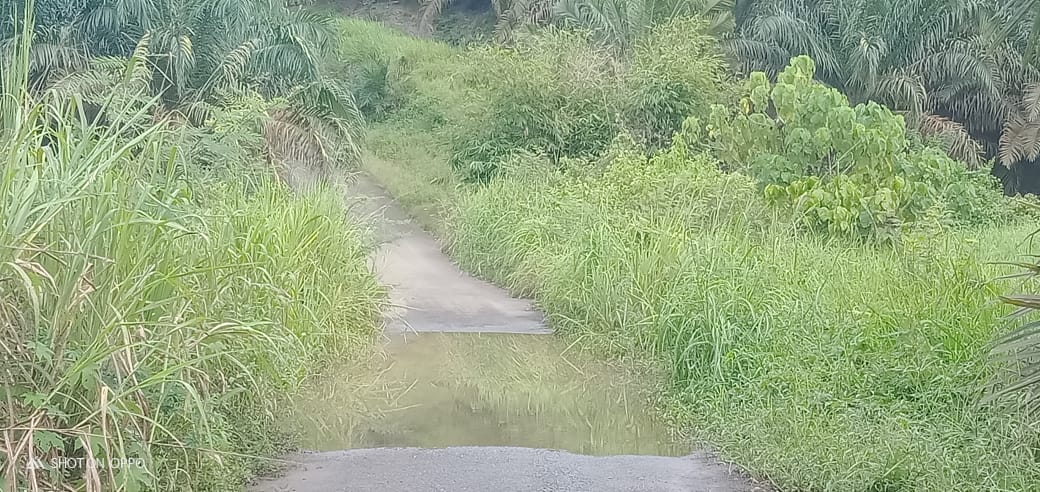 Dikeluhkan Orang-orang, Ini Kondisi Jalan Penghubung Desa di Empat Lawang