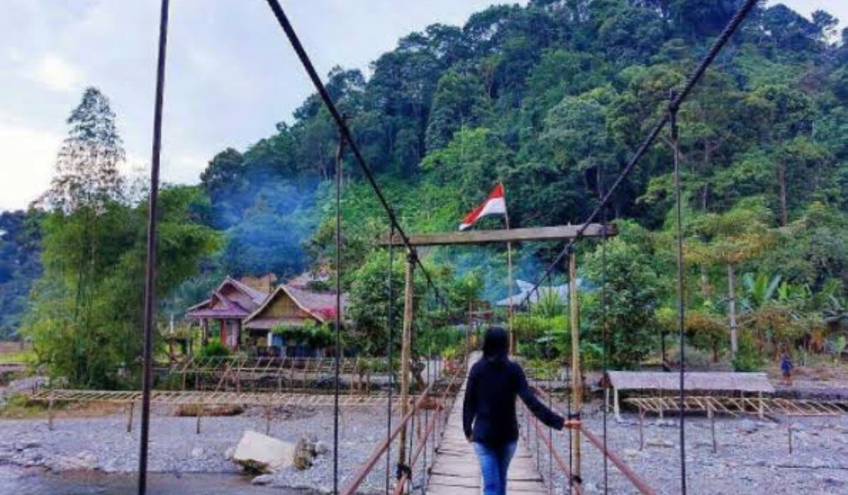 Misteri di Bukit Lawang, Aceh Tamiang: Destinasi Wisata Penuh Misteri