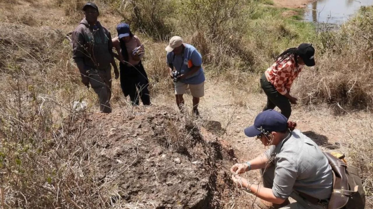 Penemuan Besar di Serengeti: Tim Arkeolog Polandia Ungkap Situs Bersejarah yang Terlupakan