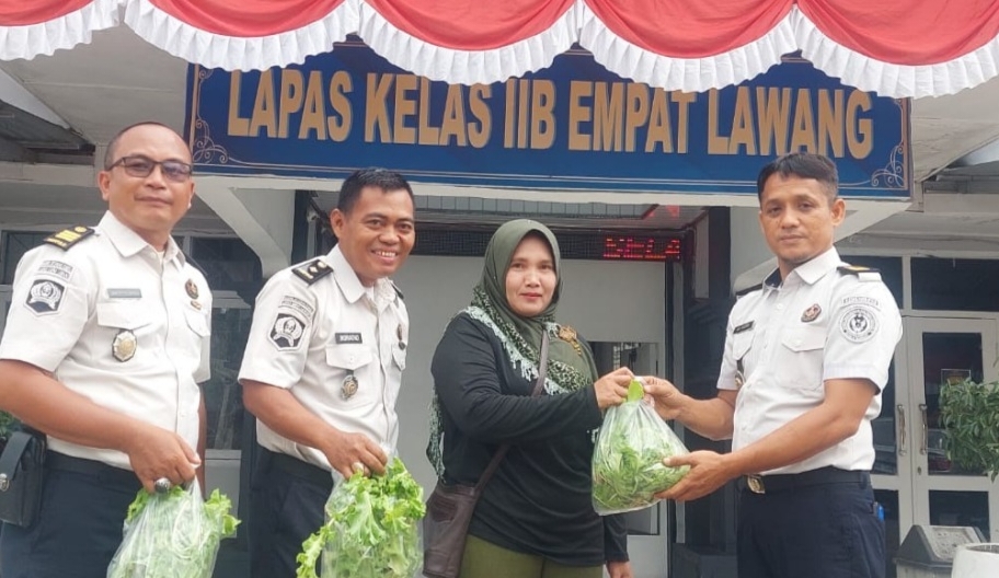 Panen Selada Organik, Lapas Kelas IIB Empat Lawang Wujudkan Pembinaan Produktif dan Berbagi untuk Masyarakat
