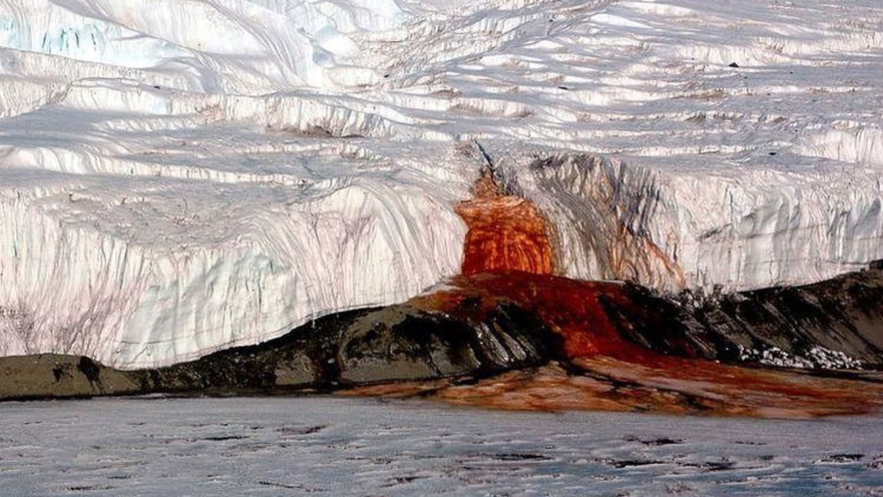 Misteri Blood Falls: Penemuan Terkait Air Terjun 'Darah' di Antartika