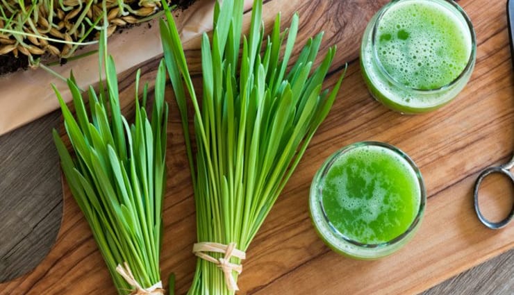 Manfaat Barley Grass untuk Kesehatan Ternyata Ampuh Detoks Hingga Cegah Penyakit Kronis!