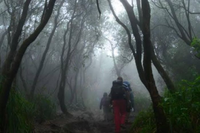 Misteri dan Keindahan Gunung Slamet: Pos Samarantu dan Legenda Dunia Lain