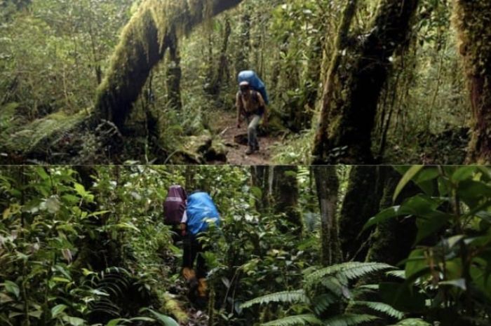 Menggali Dunia Bunian: Dika dan Petualangan Mistisnya Menemukan Putri Kerajaan di Jantung Jawa Barat