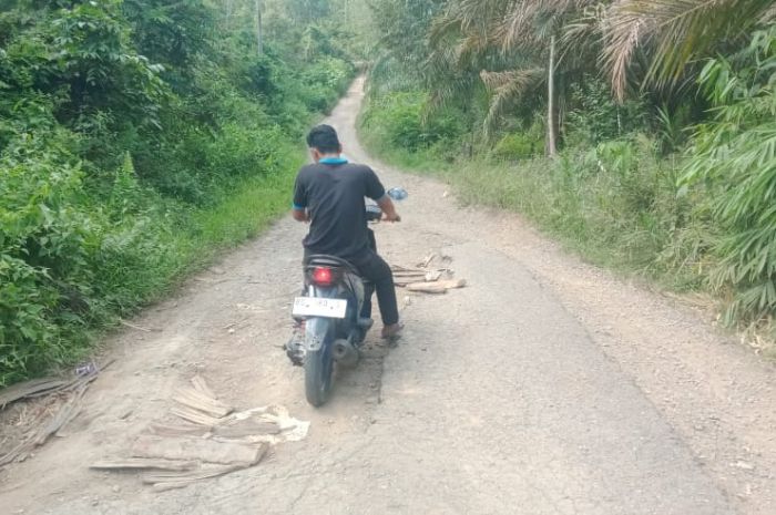 MIRIS! Jalan Penghubung Dua Desa Ini Rusak dan Terlihat Mengecil