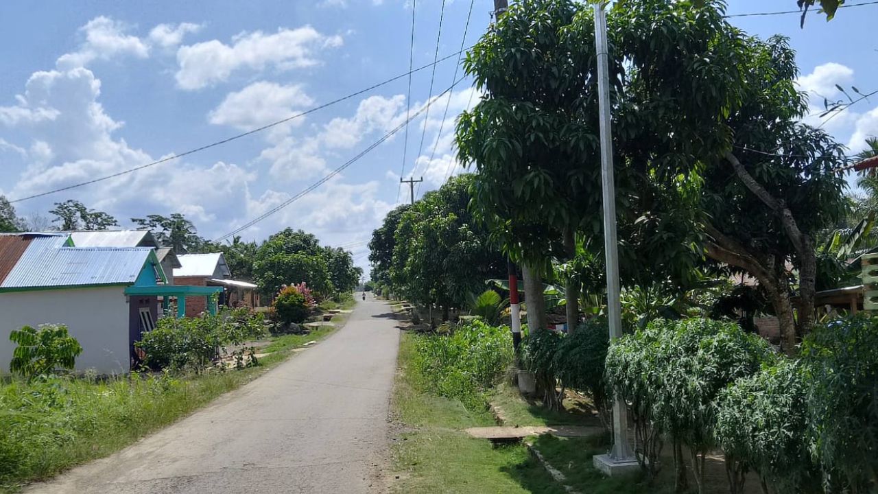 Fasilitas Penerangan Jalan Desa Mekar Jaya Mangkrak Tiang Tampa Lampu, Warga Minta Penjelasan