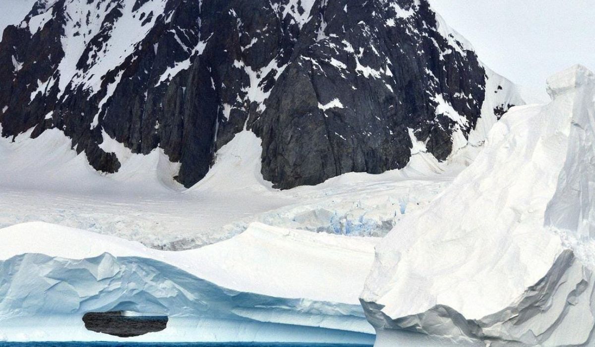 Antartika Terjerat dalam Krisis Es, Hilangnya Triliunan Ton Es dan Ancaman Bagi Keanekaragaman Hayati