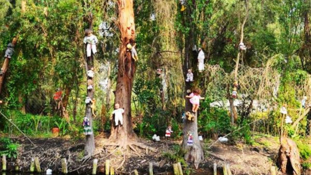 Misteri Pulau Boneka: Jejak Kehidupan dan Kematian di The Island of the Dolls